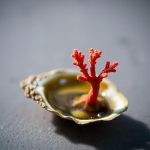 Red coral