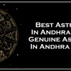 Holistic Vedic Solutions powered by IndianVedicAstrologer.com, featuring trusted astrologers, yoga masters, Ayurveda doctors, and spiritual experts serving Andhra Pradesh.