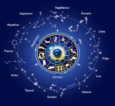Top astrologer in Seppa providing astrology services with natural backdrop